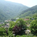 대성골1 이미지