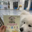 커멍요 이미지