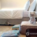 우리동물병원(산업) 이미지