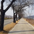 낙동강변로 이미지