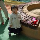 청룡어린이공원 이미지