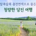 바우토피아 이미지