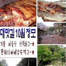 [대맛길 61차 정모] "대맛길 10월 정모"... 비슬산 산책& 통돼지바베큐 소풍~!!! 이미지