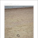 바람아래해수욕장 이미지