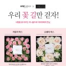미니골드신림