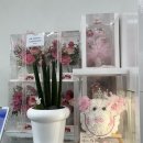 염주근린공원 | 화정동 어반블룸, 역대급으로 예쁜 광주꽃집추천 강력추천‼️