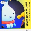 [전시후기]서울 미피 전시회 즐길거리 5가지 소개 및 굿즈 정보