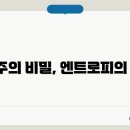 엔트로피