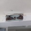 성원세탁마을 | 현관문수리후 도어클로저설치하기 수지집수리 분당집수리 용인집수리 수지 진산마을 성원아파트