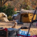 마실휴양농원 이미지