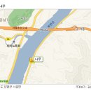 카페나무 이미지