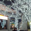 배추당구장 이미지