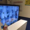 코끼리 코인노래연습장 이미지