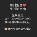 다희농장 네이버블로그