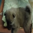 한배미길 이미지