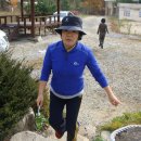 솔잎펜션 1 이미지