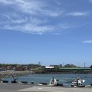 우도전동차렌트 | [제주도] 우도 전동차 렌트 내돈내산 후기