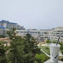 솔비치카페 이미지