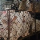 음지농장 이미지