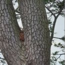 신안자연휴양림 이미지