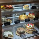 검단사거리역 | 검단사거리역 감성 카페 '잔잔한숲' 디저트 맛집 인정... 두쫀쿠 내돈내산 솔직후기(+아쉬운점)