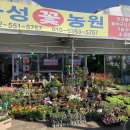 화성꽃농원