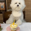 반작 작업실 이미지