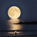 베토벤 월광 소나타 이미지