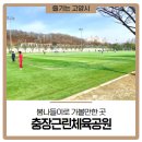 충장근린체육공원 이미지