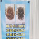 더와이샵