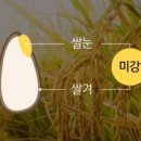 NK푸드 - 서구 | NK푸드