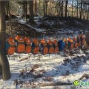 숲으로 가는 어린이집 이미지