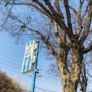 GS25 영월삼거리 네이버블로그