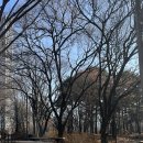 서울숲충전소 | 서울숲 겨울산책코스 주차장정보공유