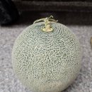 류가네농장 이미지