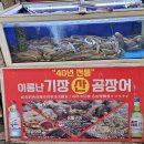 기장산곰장어 이미지