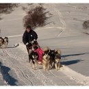 소문켄넬 이미지