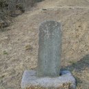 자하 이미지