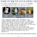 (주)노는감자 네이버블로그