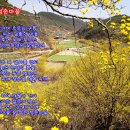 꽃피는청춘