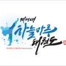 용인대용마태권도 이미지