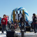 덕포 펭귄 이미지