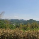 죽녹원로 이미지