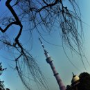 회동관광지 이미지