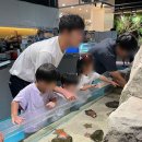 어푸어푸 수원판타지움점 + 파충류 핸들링 체험