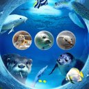 아쿠아리움 이미지