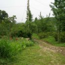 판교농장 이미지