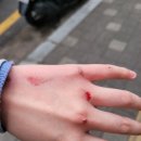 가은약국 | [가보았다] 수원화성