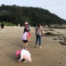 바다여행 이미지
