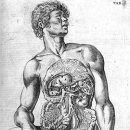 카세리오 이미지